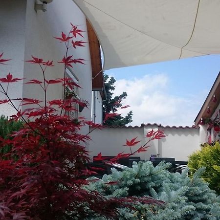 Vendeg Kucko Apartment Kethely Exterior photo
